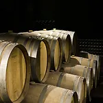 Alojamento de Turismo Rural Quinta De S.bernardo - Winery & *
