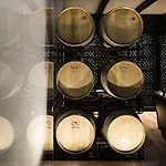 Quinta De S.bernardo - Winery & * Mesão Frio