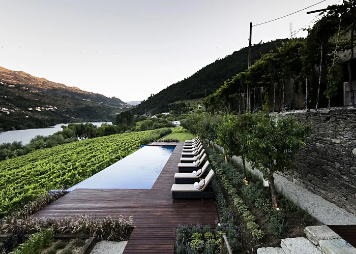 Quinta De S.bernardo - Winery &