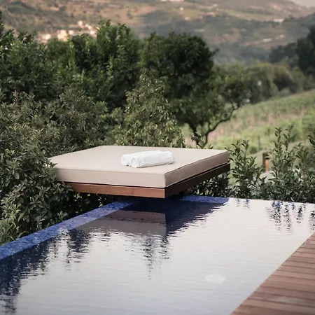 Quinta De S.bernardo - Winery & Farm stay *