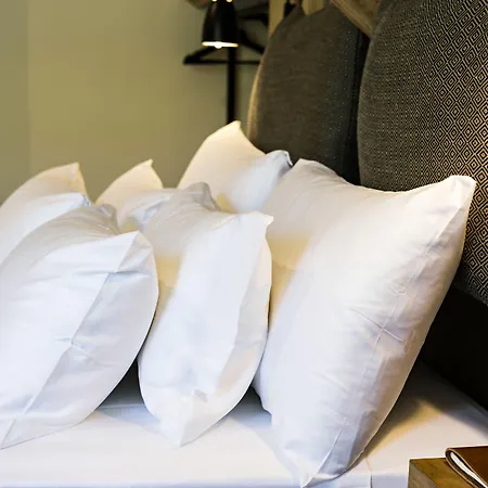 Quinta De S.bernardo - Winery & Agroturismo Mesão Frio