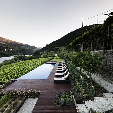 Quinta De S.bernardo - Winery &