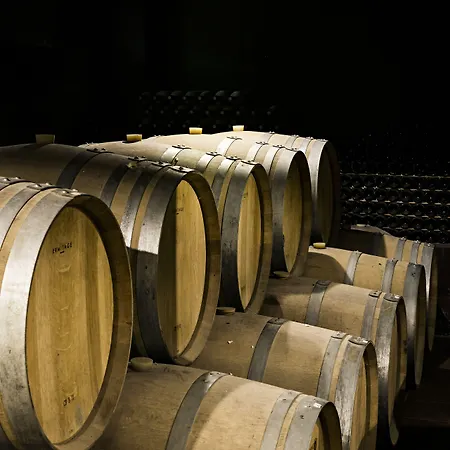 Bauernhof Quinta De S.bernardo - Winery & *