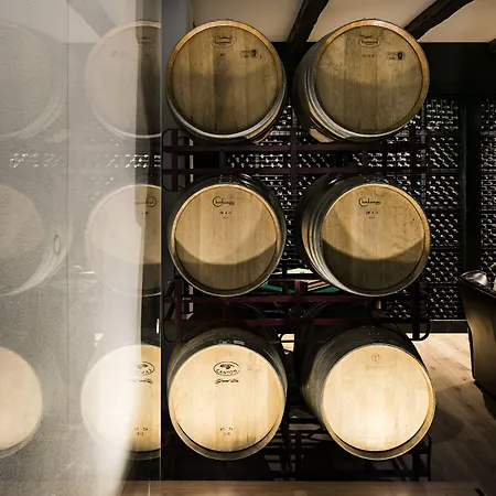 Quinta De S.bernardo - Winery & * 메사오프리오