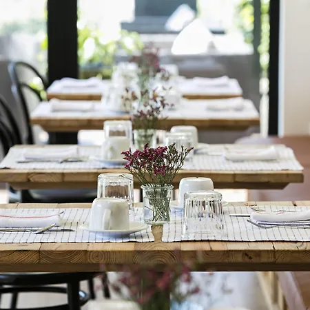 Quinta De S.bernardo - Winery & Farmház *