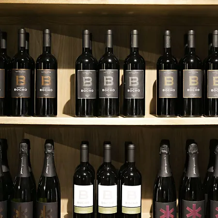 Quinta De S.bernardo - Winery & Agroturismo *