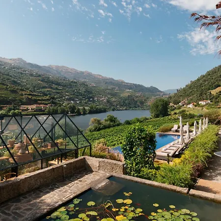 Quinta De S.bernardo - Winery & 팜스테이