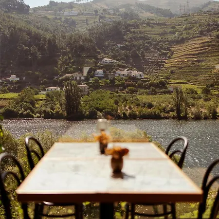 Quinta De S.bernardo - Winery & Bauernhof *