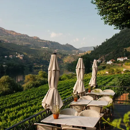 Quinta De S.bernardo - Winery & Mesão Frio