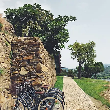 Quinta De S.bernardo - Winery & *