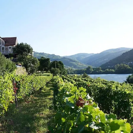 Quinta De S.bernardo - Winery & 农家乐 *