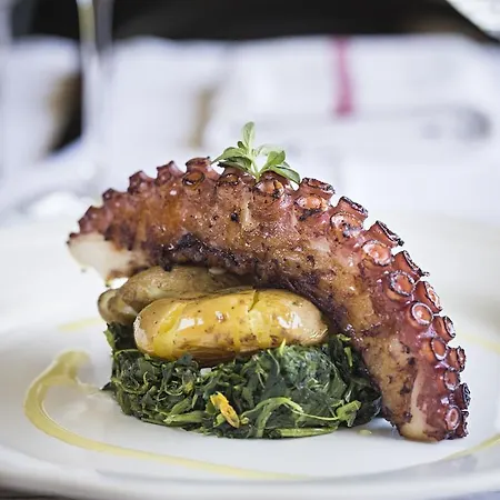 Quinta De S.bernardo - Winery &