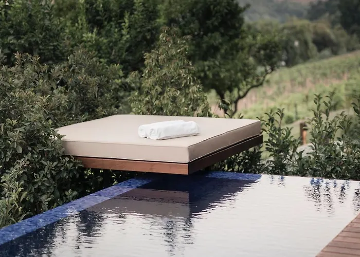 Quinta De S.bernardo - Winery & Farm stay *