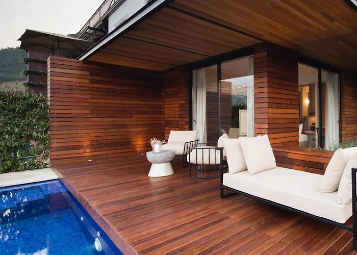 Quinta De S.bernardo - Winery & 梅骚·弗里奥