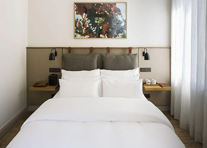 Quinta De S.bernardo - Winery & Farm stay Mesao Frio