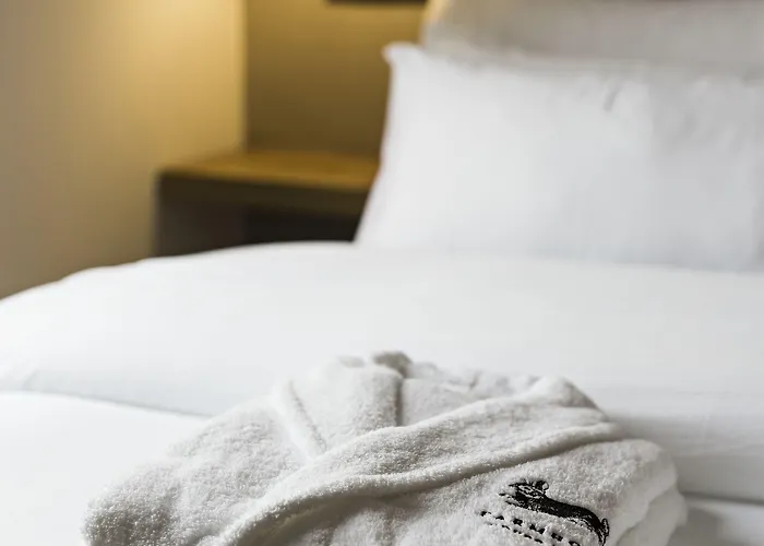 Quinta De S.bernardo - Winery & * 梅骚·弗里奥