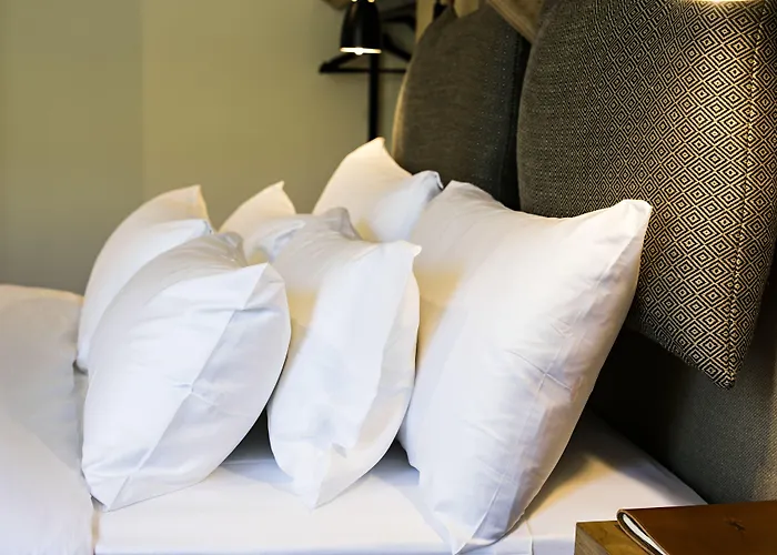 Quinta De S.bernardo - Winery & Vakantieboerderij Mesão Frio