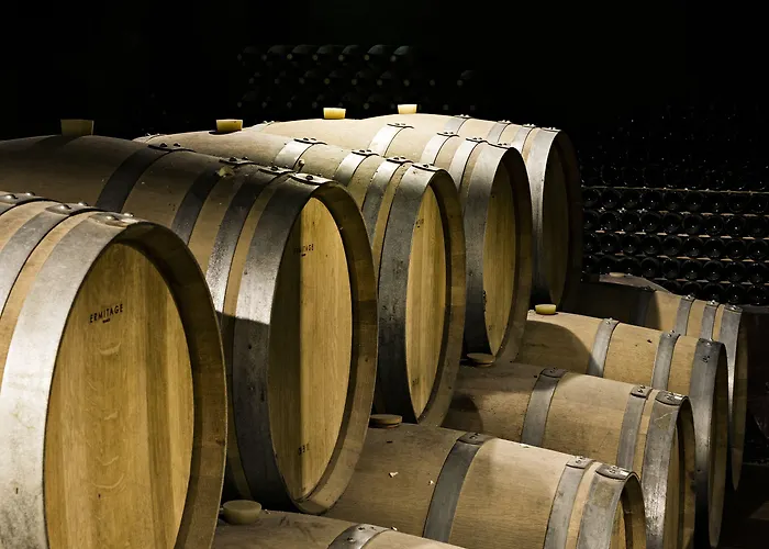 Farm stay Quinta De S.bernardo - Winery & *