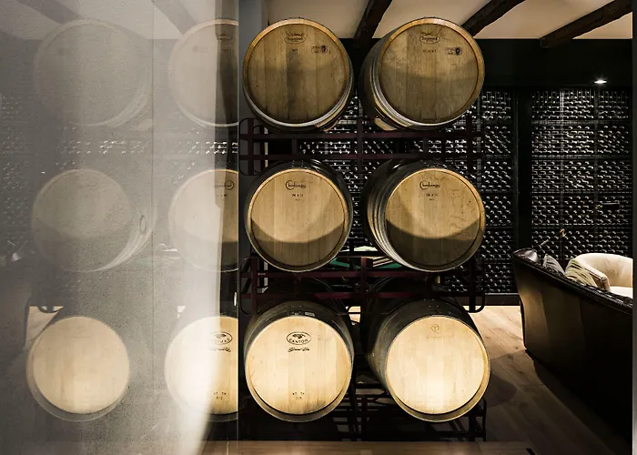 Quinta De S.bernardo - Winery & * Mesao Frio