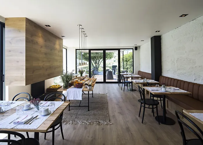 Quinta De S.bernardo - Winery & 梅骚·弗里奥