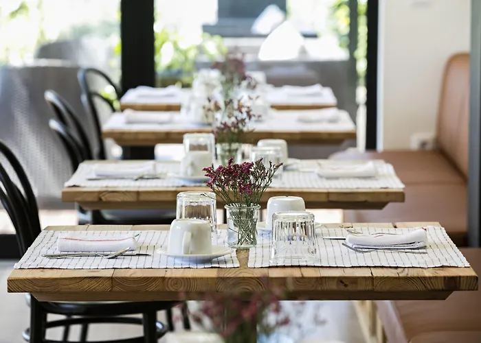 Quinta De S.bernardo - Winery & Farm stay *