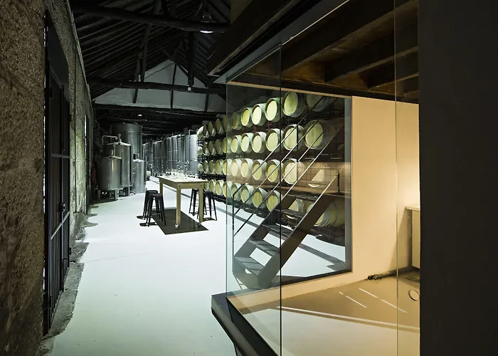 Quinta De S.bernardo - Winery & * 梅骚·弗里奥