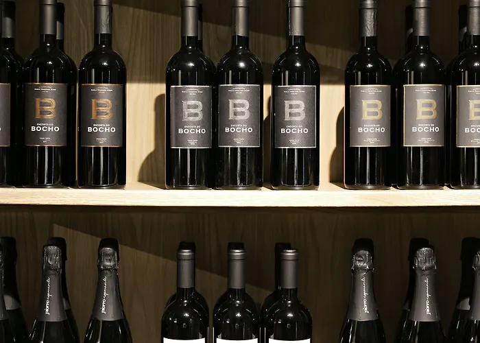 Quinta De S.bernardo - Winery & Farm stay *