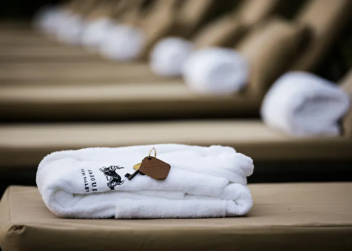 Quinta De S.bernardo - Winery &