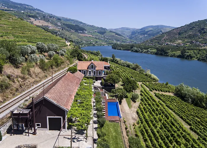 Quinta De S.bernardo - Winery & * Mesão Frio