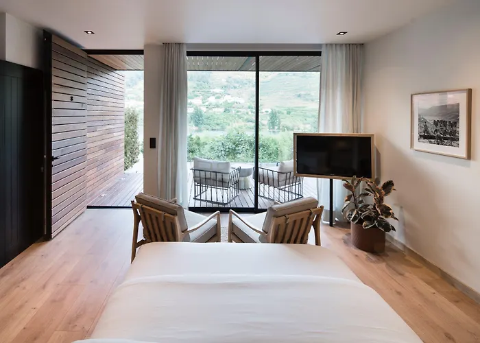 Quinta De S.bernardo - Winery & 梅骚·弗里奥