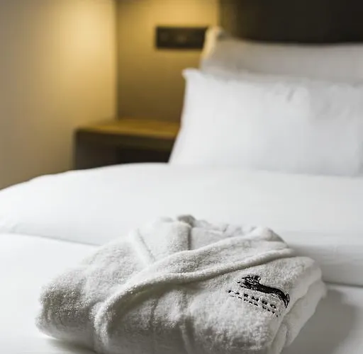 Quinta De S.bernardo - Winery & Vakantieboerderij *