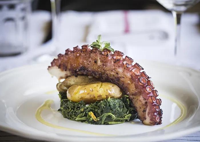 Quinta De S.bernardo - Winery &