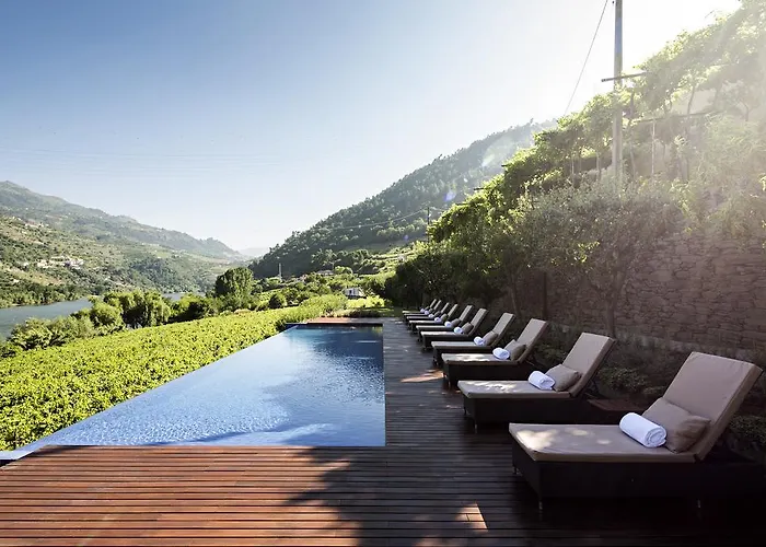 Quinta De S.bernardo - Winery & 农家乐