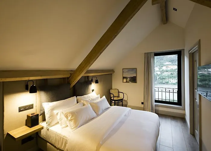 Quinta De S.bernardo - Winery & Farm stay *